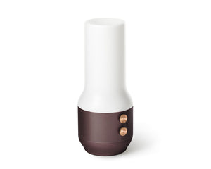Lexon TERRACE, Bluetooth-Speaker, Leuchte und Powerbank, braun