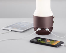 Lade das Bild in den Galerie-Viewer, Lexon TERRACE, Bluetooth-Speaker, Leuchte und Powerbank, braun
